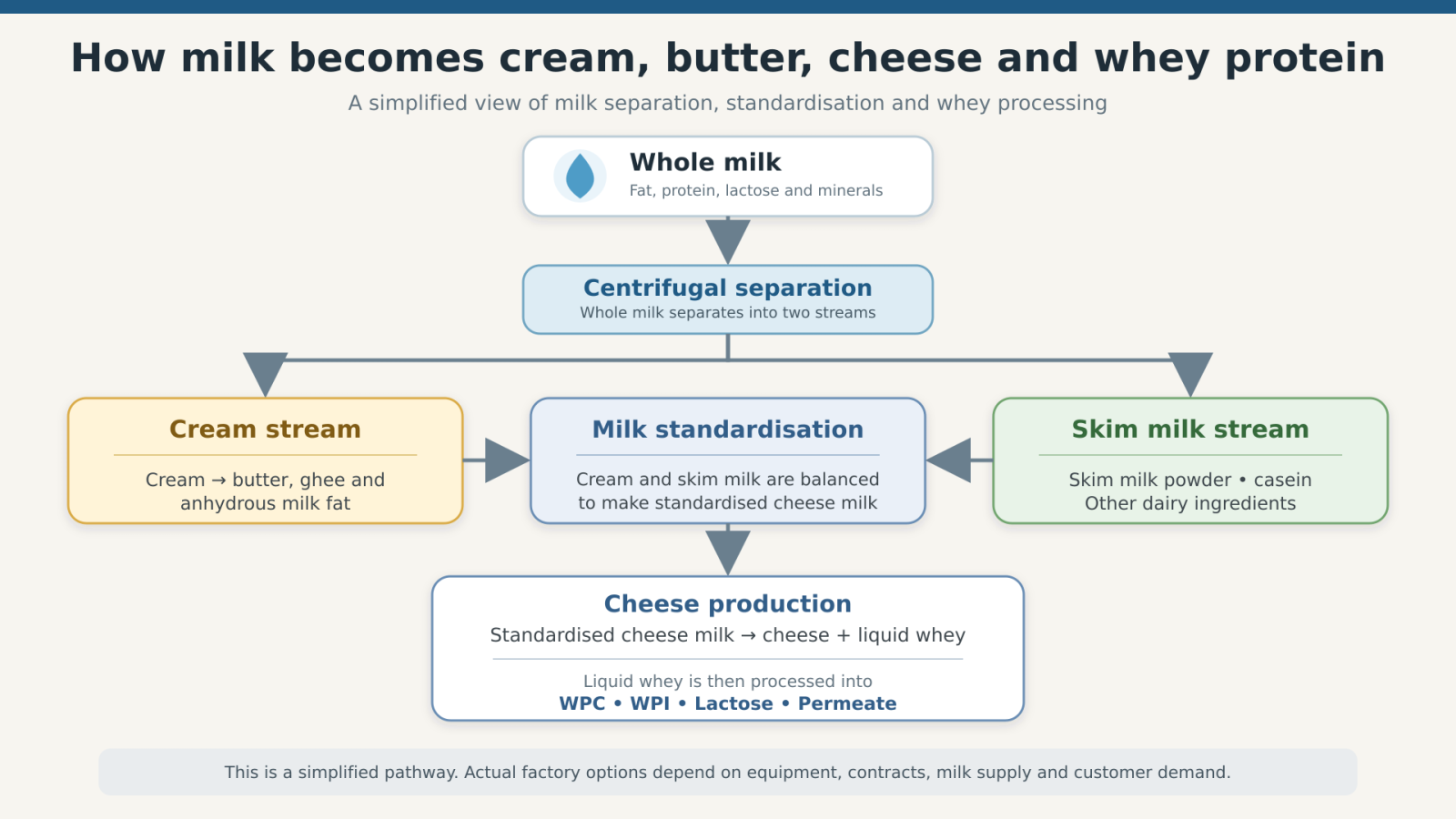 Dairy processing pathways from whole milk to cream, cheese, liquid whey, WPC and WPI