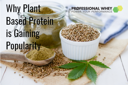 Hemp Protein